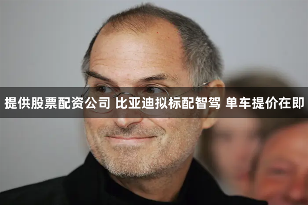 提供股票配资公司 比亚迪拟标配智驾 单车提价在即