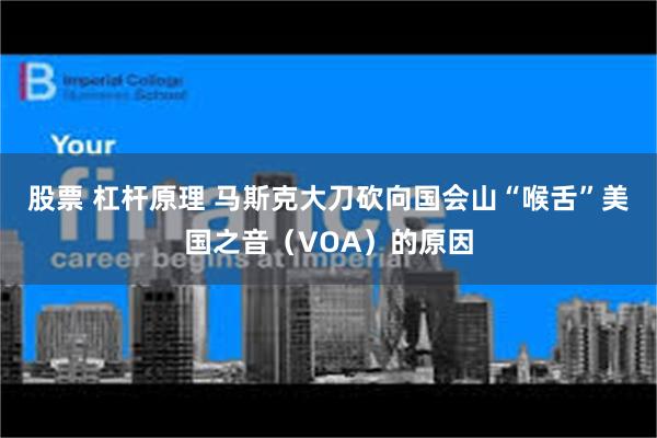 股票 杠杆原理 马斯克大刀砍向国会山“喉舌”美国之音（VOA）的原因