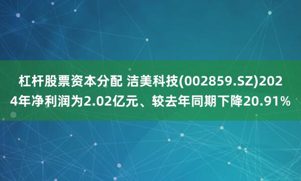 杠杆股票资本分配 洁美科技(002859.SZ)2024年净利润为2.02亿元、较去年同期下降20.91%