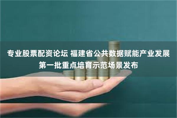 专业股票配资论坛 福建省公共数据赋能产业发展第一批重点培育示范场景发布