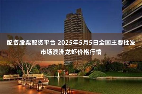 配资股票配资平台 2025年5月5日全国主要批发市场澳洲龙虾价格行情