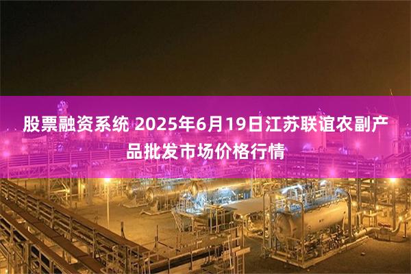 股票融资系统 2025年6月19日江苏联谊农副产品批发市场价格行情