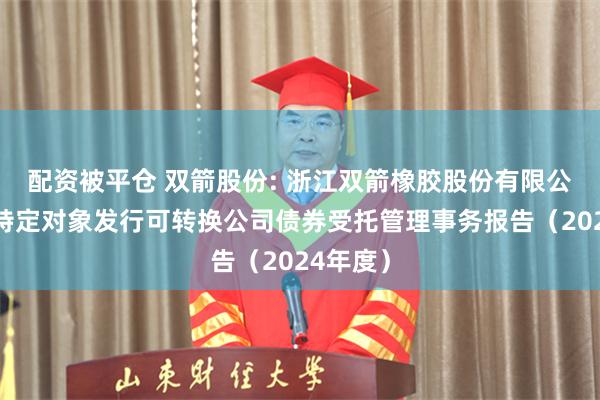 配资被平仓 双箭股份: 浙江双箭橡胶股份有限公司向不特定对象发行可转换公司债券受托管理事务报告（2024年度）