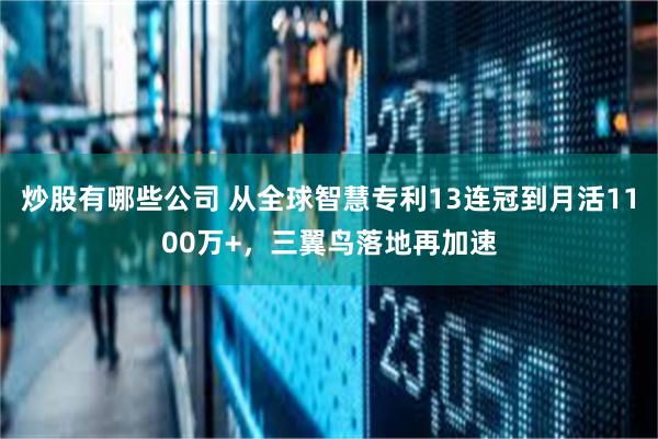 炒股有哪些公司 从全球智慧专利13连冠到月活1100万+，三翼鸟落地再加速