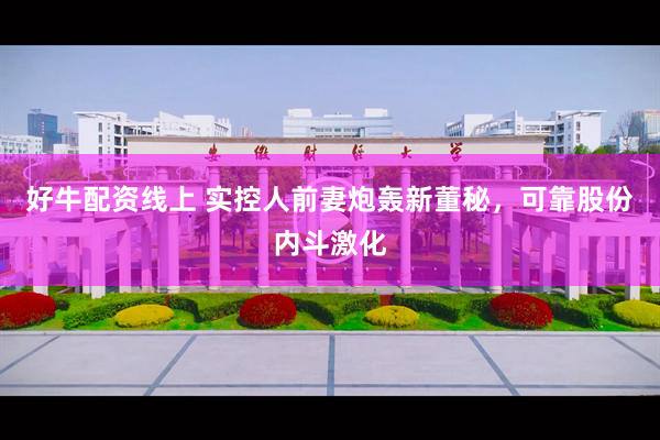 好牛配资线上 实控人前妻炮轰新董秘，可靠股份内斗激化