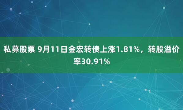 私募股票 9月11日金宏转债上涨1.81%，转股溢价率30.91%