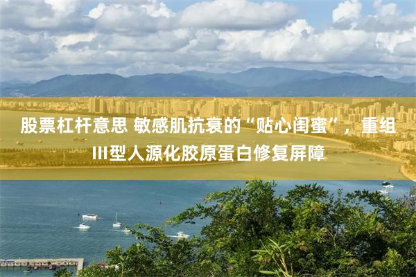 股票杠杆意思 敏感肌抗衰的“贴心闺蜜”，重组Ⅲ型人源化胶原蛋白修复屏障