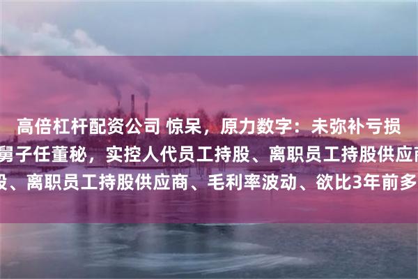 高倍杠杆配资公司 惊呆，原力数字：未弥补亏损7658万、高中学历小舅子任董秘，实控人代员工持股、离职员工持股供应商、毛利率波动、欲比3年前多募3亿