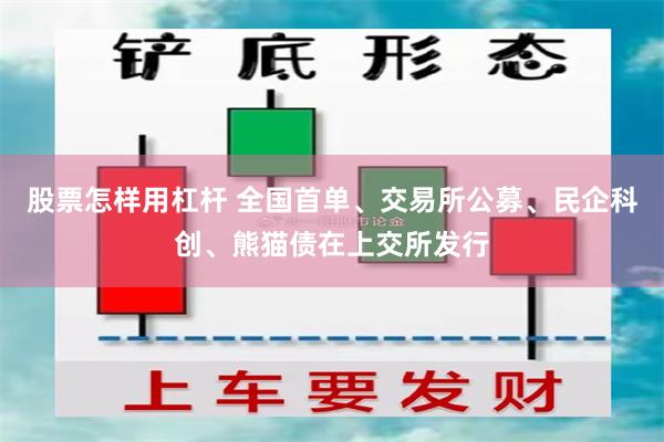 股票怎样用杠杆 全国首单、交易所公募、民企科创、熊猫债在上交所发行
